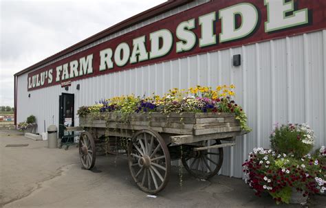 lulu's farm|farmers markets near brighton co.